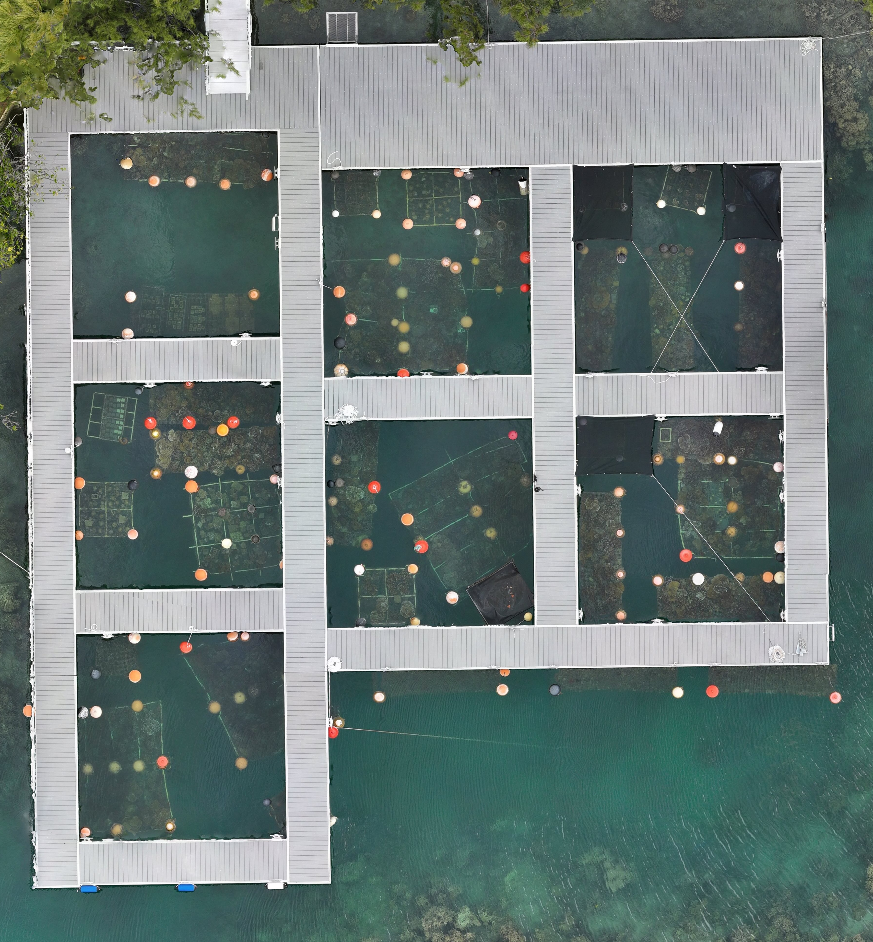 Coral nursery docks aerial view