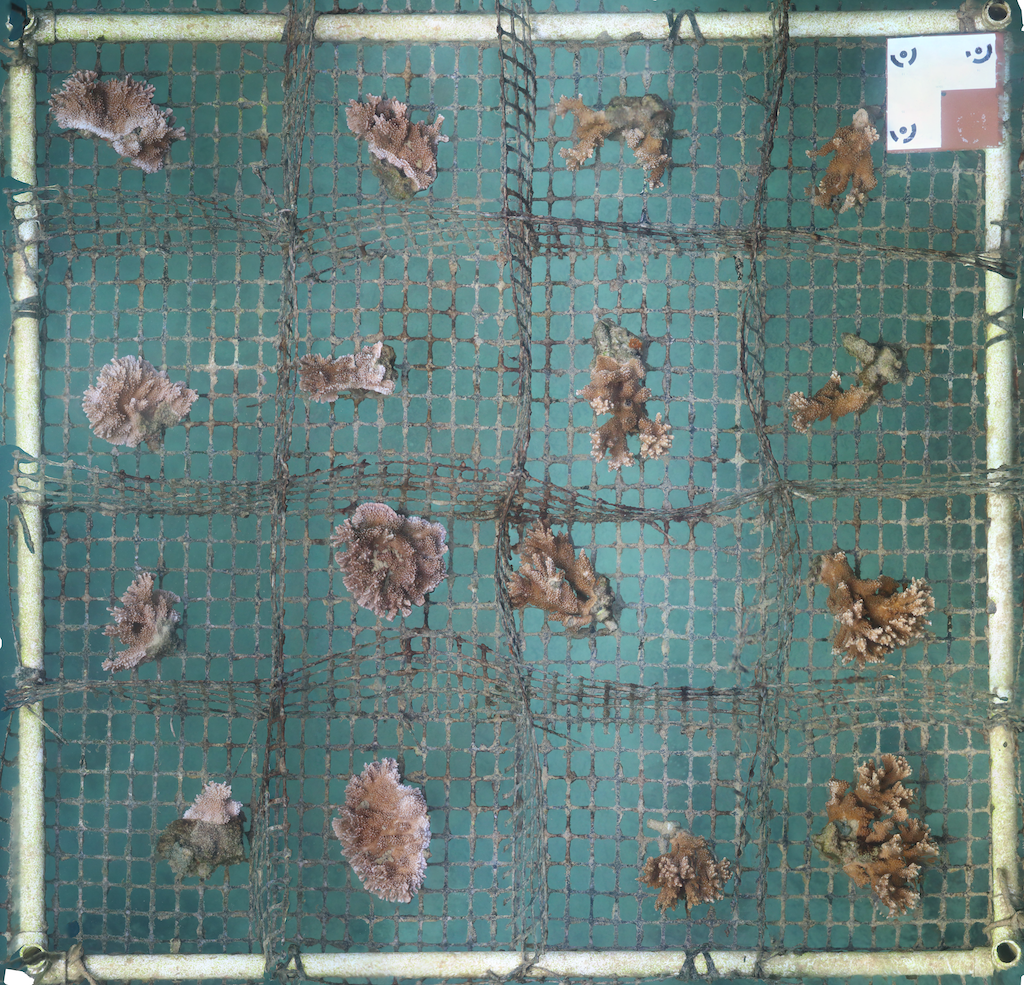 Flexible geotextile racks